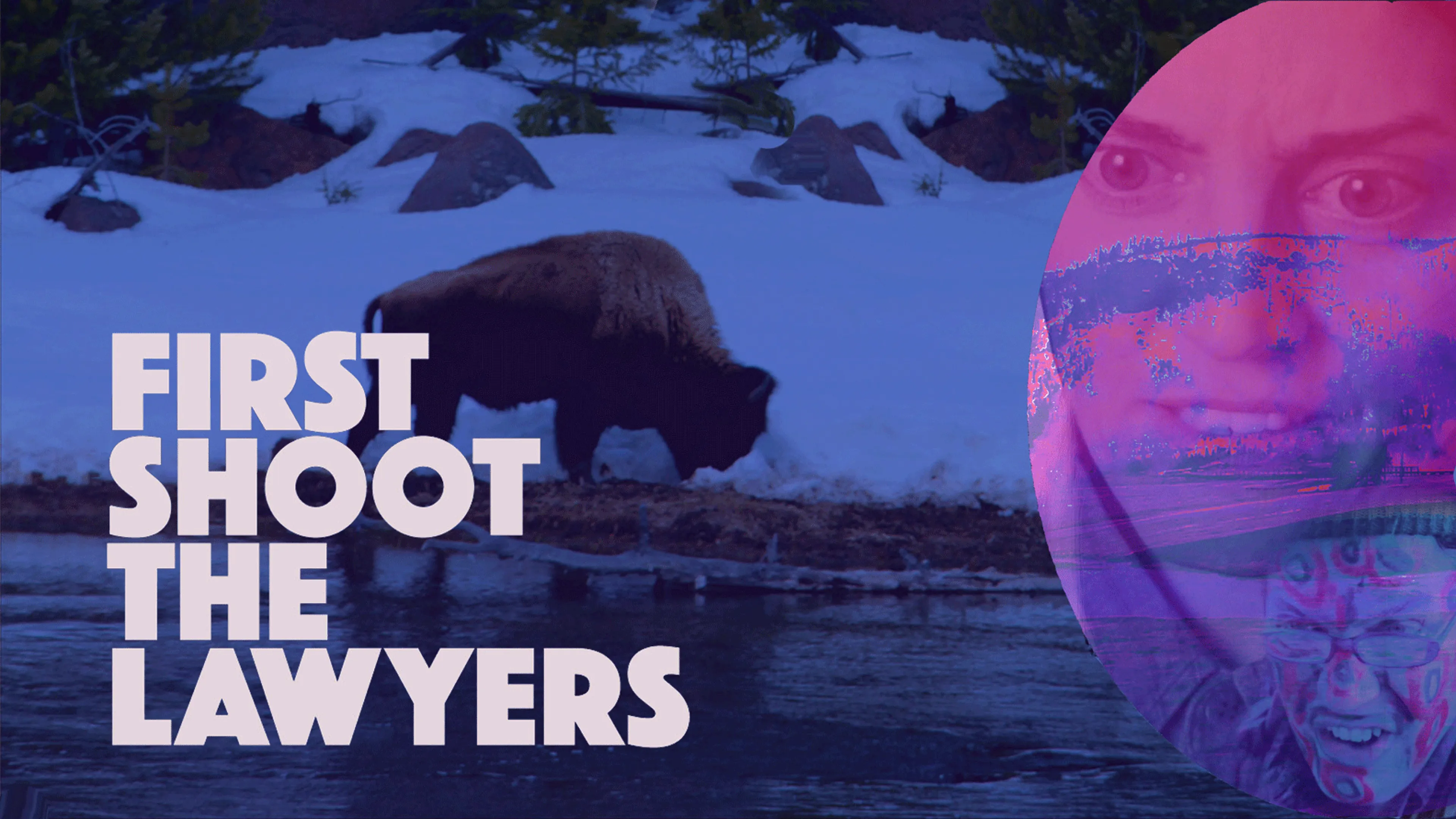 First Shoot the Lawyers poster